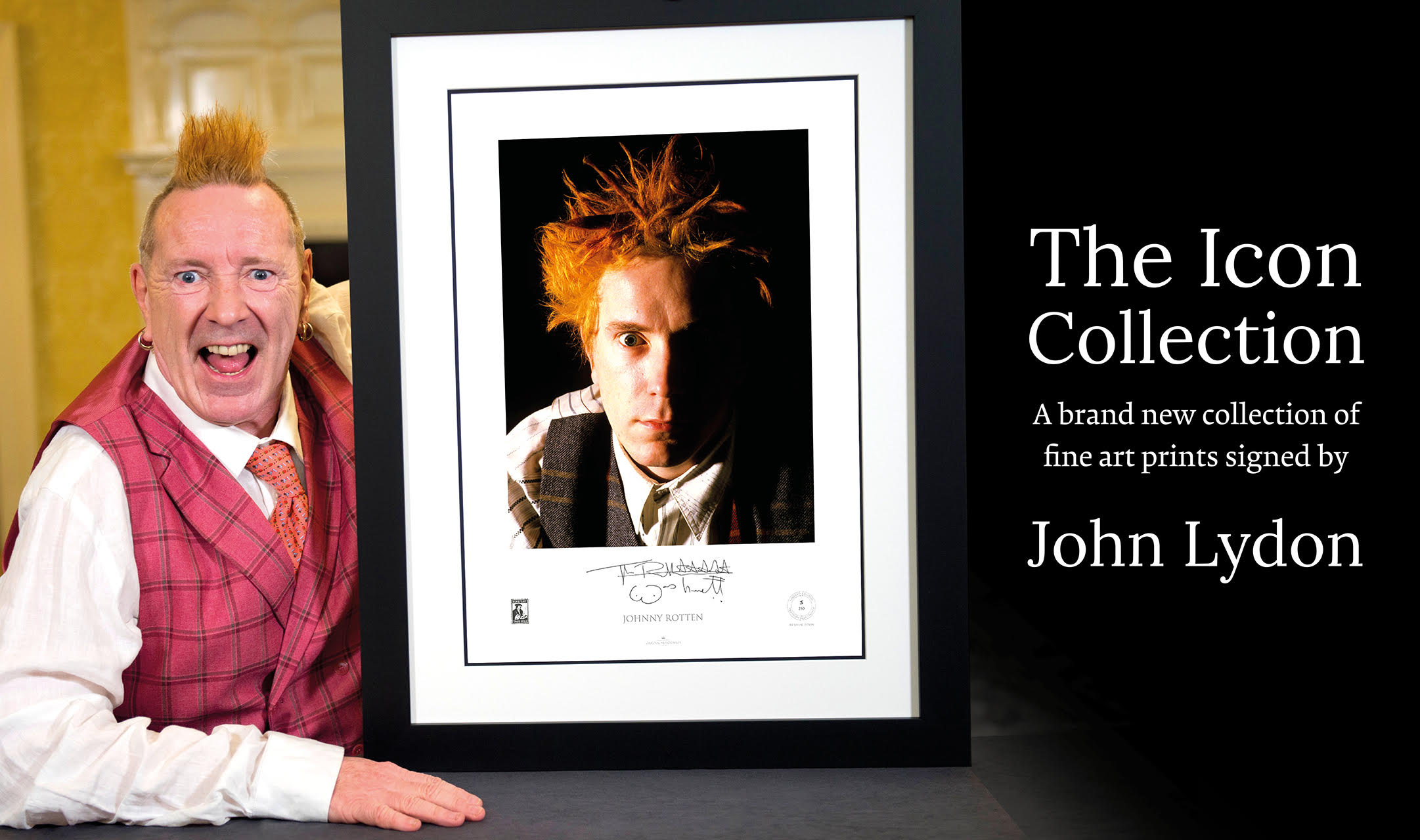 Johnny Rotten Fine Art Prints